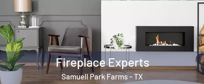 Fireplace Experts Samuell Park Farms - TX