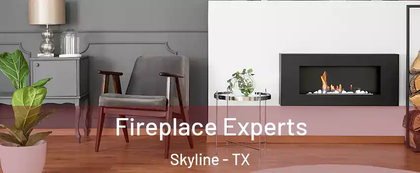 Fireplace Experts Skyline - TX