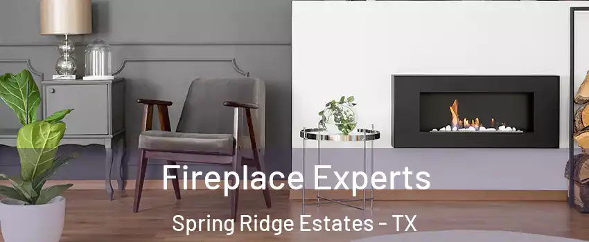 Fireplace Experts Spring Ridge Estates - TX