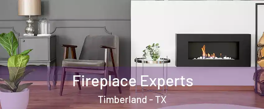 Fireplace Experts Timberland - TX
