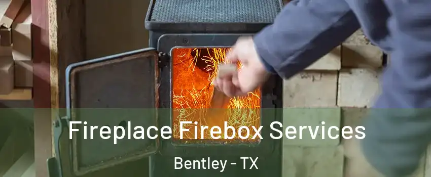 Fireplace Firebox Services Bentley - TX