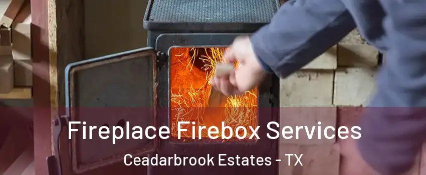 Fireplace Firebox Services Ceadarbrook Estates - TX