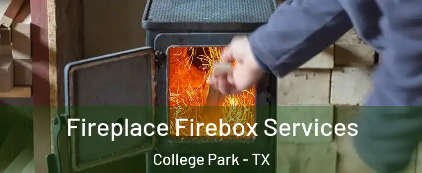 Fireplace Firebox Services College Park - TX