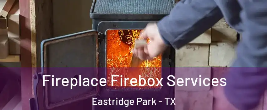 Fireplace Firebox Services Eastridge Park - TX