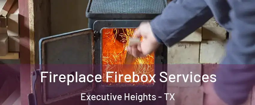 Fireplace Firebox Services Executive Heights - TX