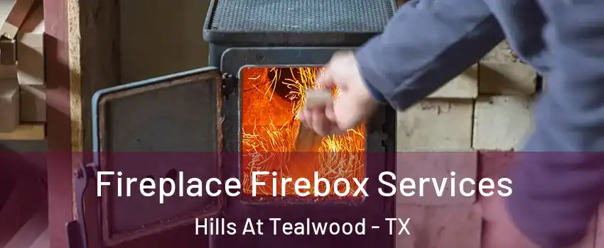 Fireplace Firebox Services Hills At Tealwood - TX