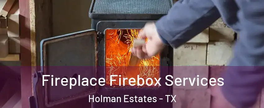 Fireplace Firebox Services Holman Estates - TX