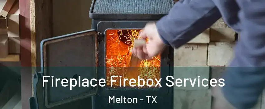 Fireplace Firebox Services Melton - TX