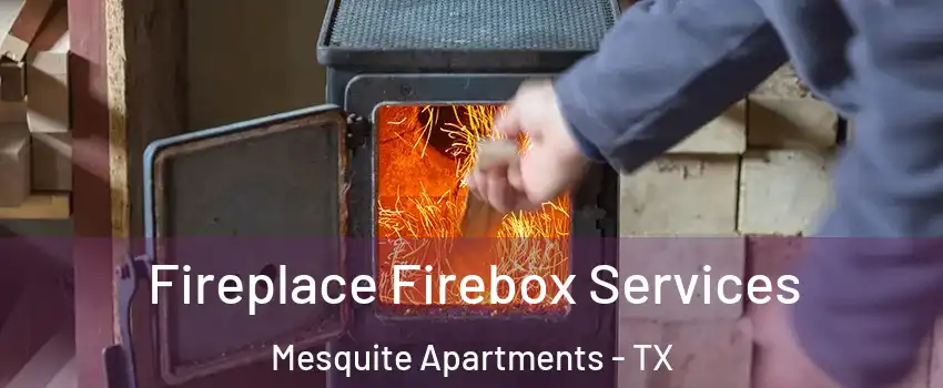 Fireplace Firebox Services Mesquite Apartments - TX