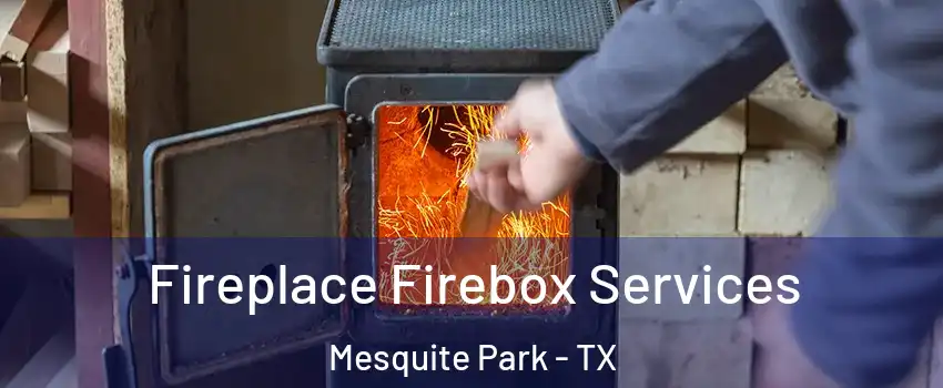Fireplace Firebox Services Mesquite Park - TX