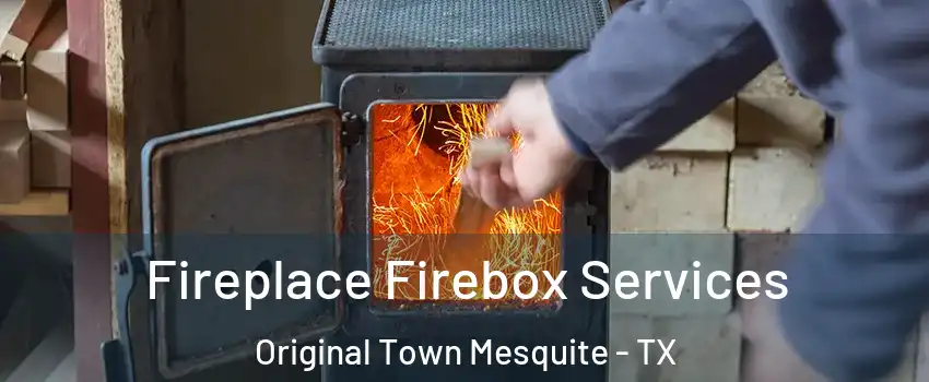 Fireplace Firebox Services Original Town Mesquite - TX