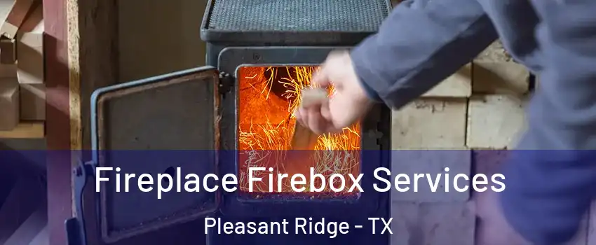 Fireplace Firebox Services Pleasant Ridge - TX