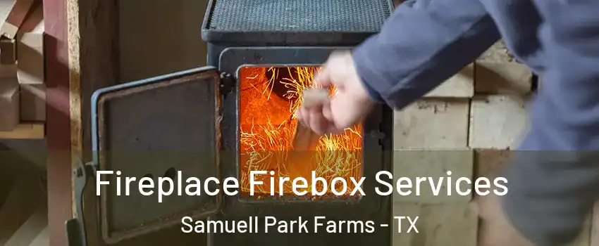 Fireplace Firebox Services Samuell Park Farms - TX