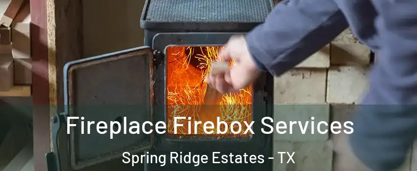 Fireplace Firebox Services Spring Ridge Estates - TX