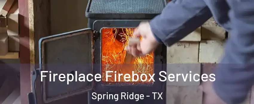Fireplace Firebox Services Spring Ridge - TX