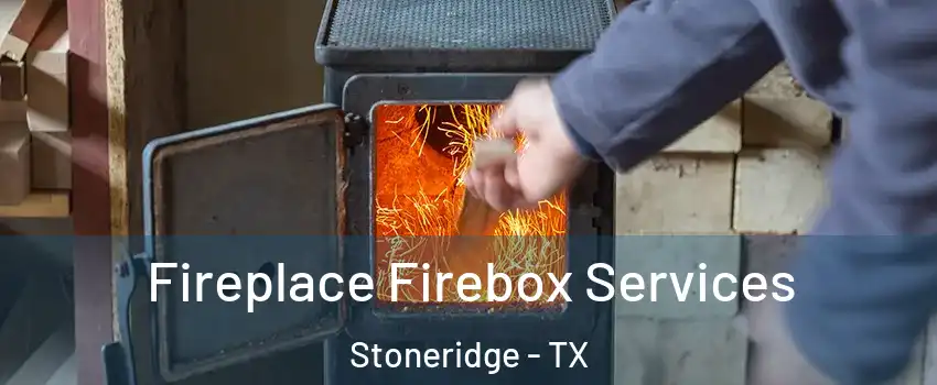 Fireplace Firebox Services Stoneridge - TX