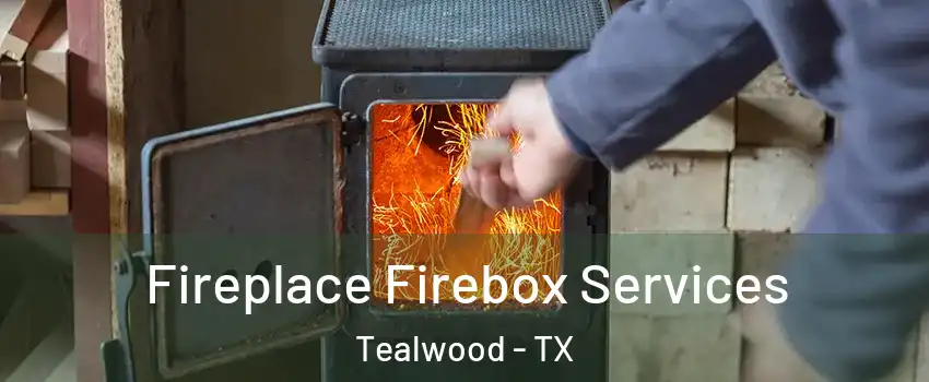 Fireplace Firebox Services Tealwood - TX