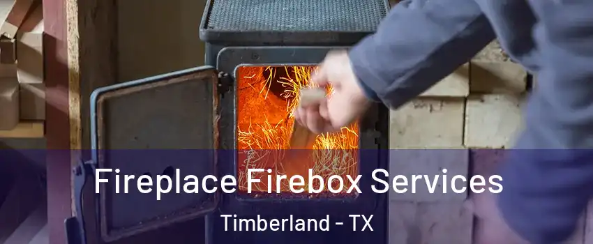 Fireplace Firebox Services Timberland - TX