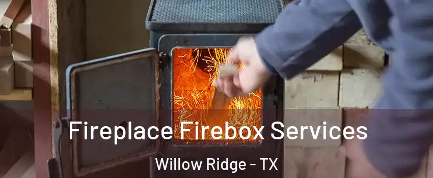 Fireplace Firebox Services Willow Ridge - TX