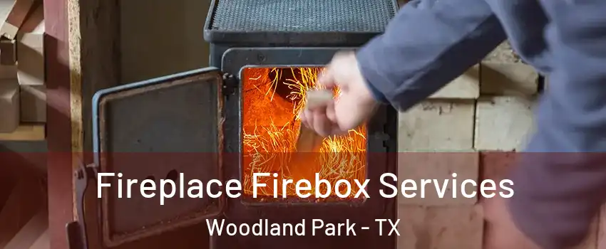 Fireplace Firebox Services Woodland Park - TX