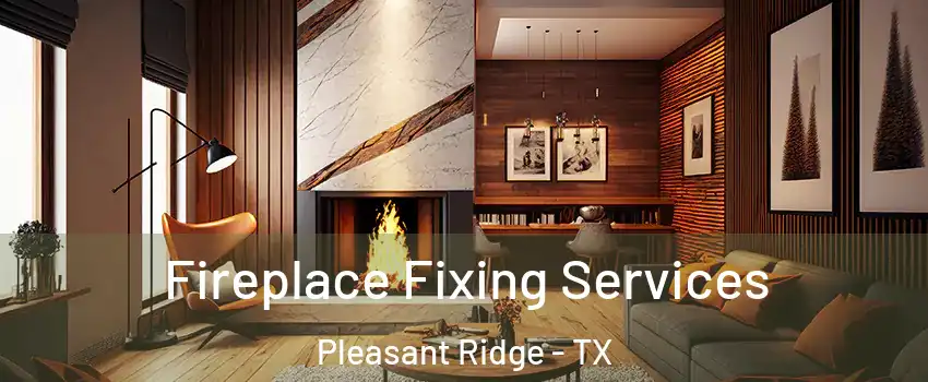 Fireplace Fixing Services Pleasant Ridge - TX