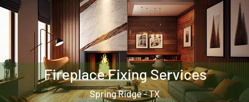 Fireplace Fixing Services Spring Ridge - TX