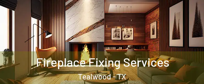 Fireplace Fixing Services Tealwood - TX