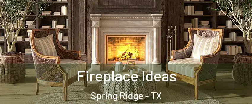 Fireplace Ideas Spring Ridge - TX