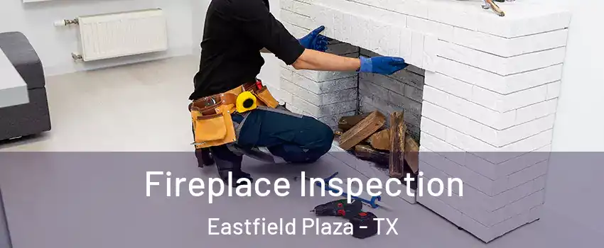 Fireplace Inspection Eastfield Plaza - TX