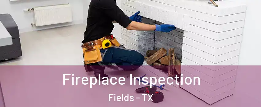 Fireplace Inspection Fields - TX