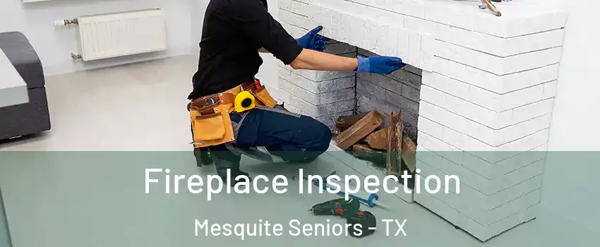 Fireplace Inspection Mesquite Seniors - TX