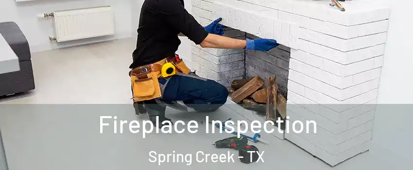 Fireplace Inspection Spring Creek - TX