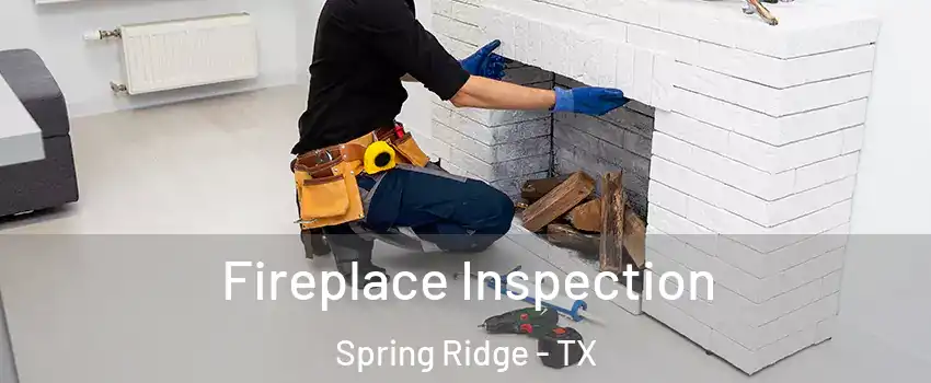 Fireplace Inspection Spring Ridge - TX