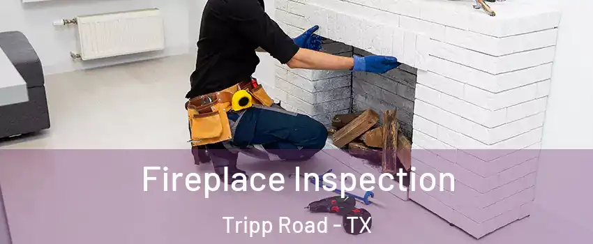 Fireplace Inspection Tripp Road - TX