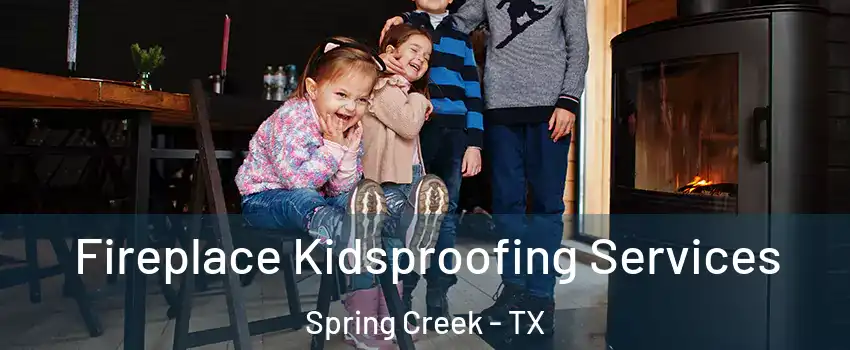 Fireplace Kidsproofing Services Spring Creek - TX