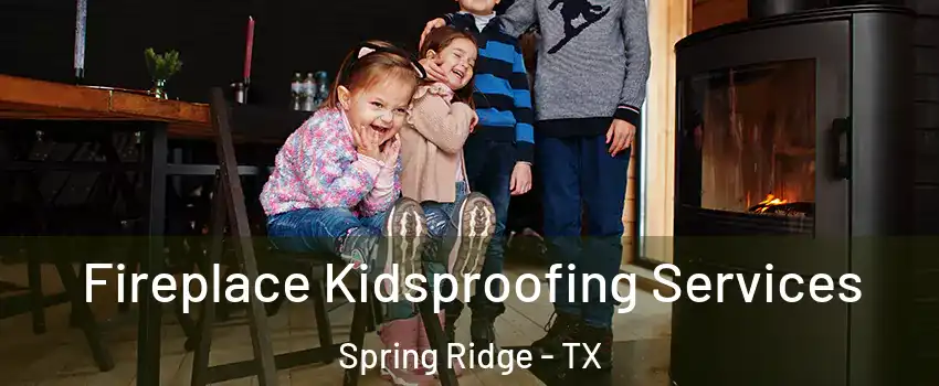 Fireplace Kidsproofing Services Spring Ridge - TX