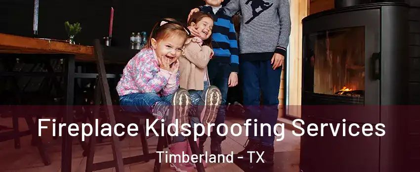 Fireplace Kidsproofing Services Timberland - TX