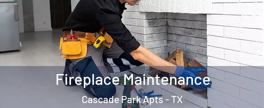Fireplace Maintenance Cascade Park Apts - TX