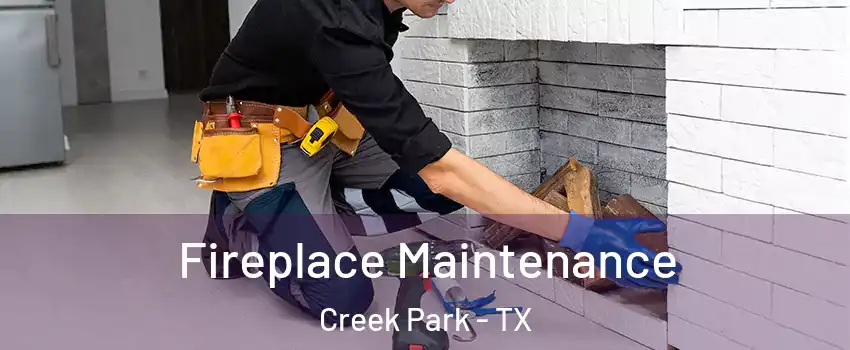 Fireplace Maintenance Creek Park - TX
