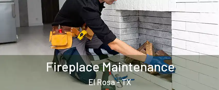 Fireplace Maintenance El Rosa - TX