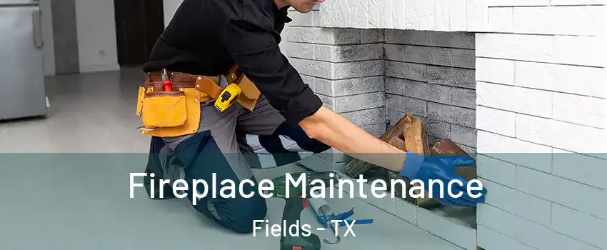 Fireplace Maintenance Fields - TX