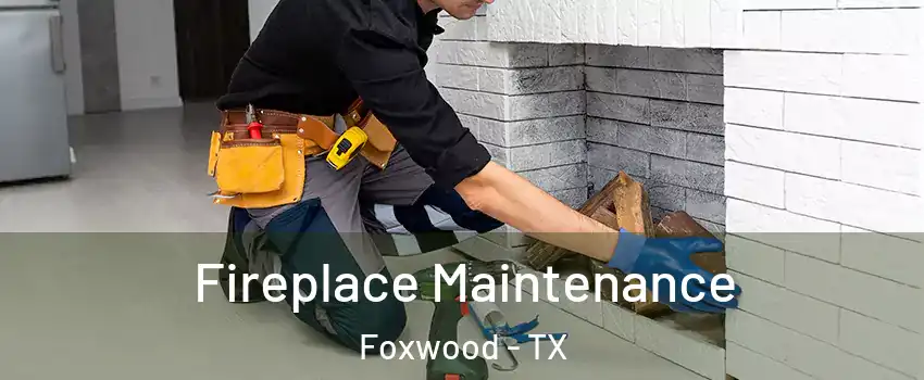 Fireplace Maintenance Foxwood - TX