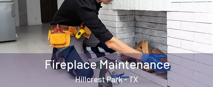 Fireplace Maintenance Hillcrest Park - TX