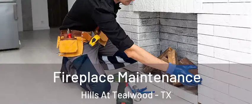 Fireplace Maintenance Hills At Tealwood - TX