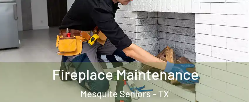 Fireplace Maintenance Mesquite Seniors - TX