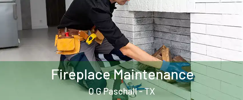 Fireplace Maintenance O G Paschall - TX