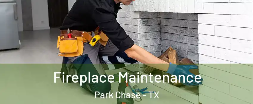 Fireplace Maintenance Park Chase - TX