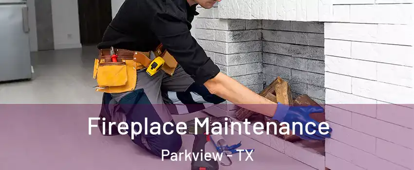 Fireplace Maintenance Parkview - TX