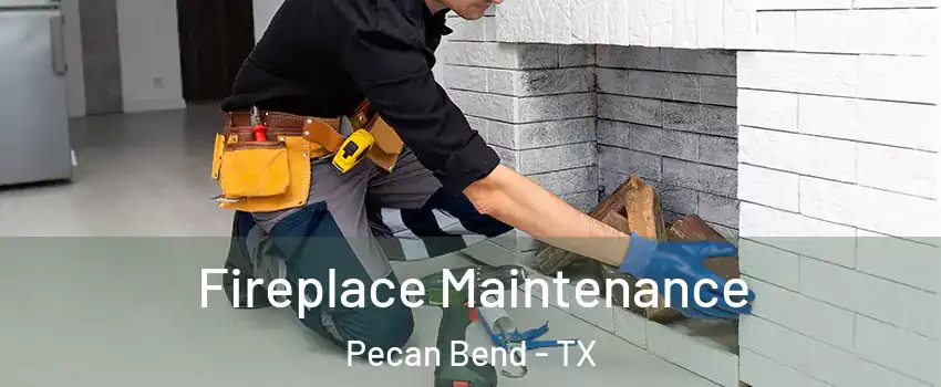 Fireplace Maintenance Pecan Bend - TX