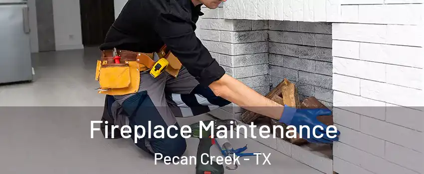 Fireplace Maintenance Pecan Creek - TX